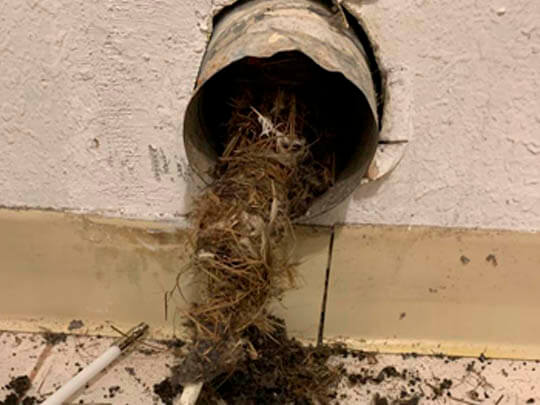 Dryer Vent Cleaning